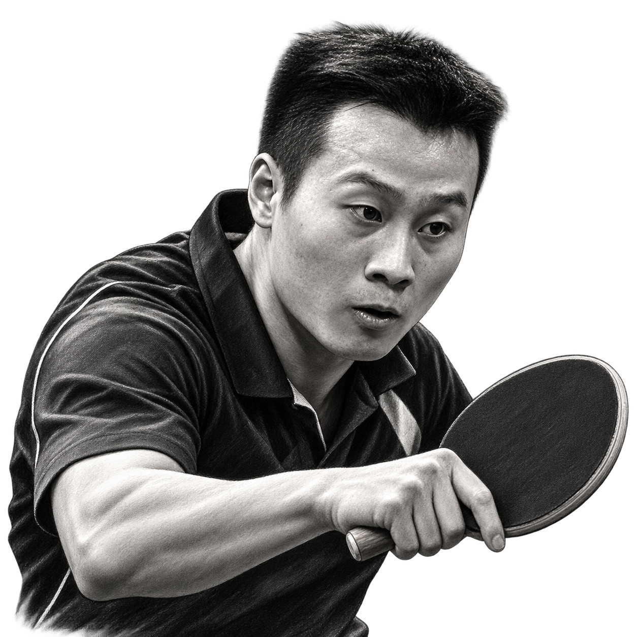 Yang Wang